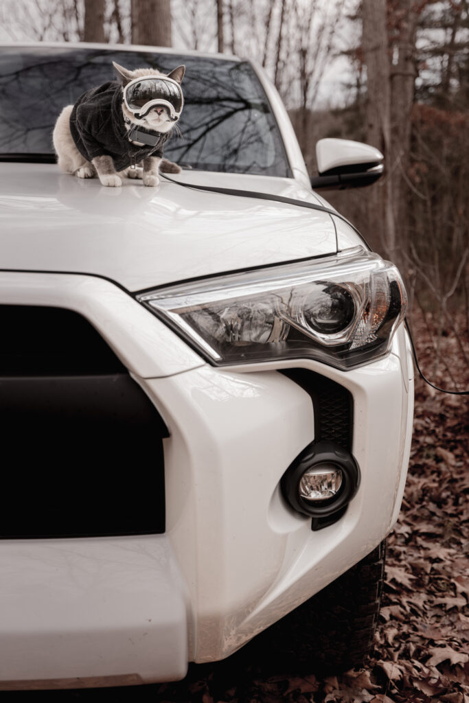 Snowshoe cat in Rex Specs Goggles and North Face Jacket sitting on top of white Toyota Forerunner.