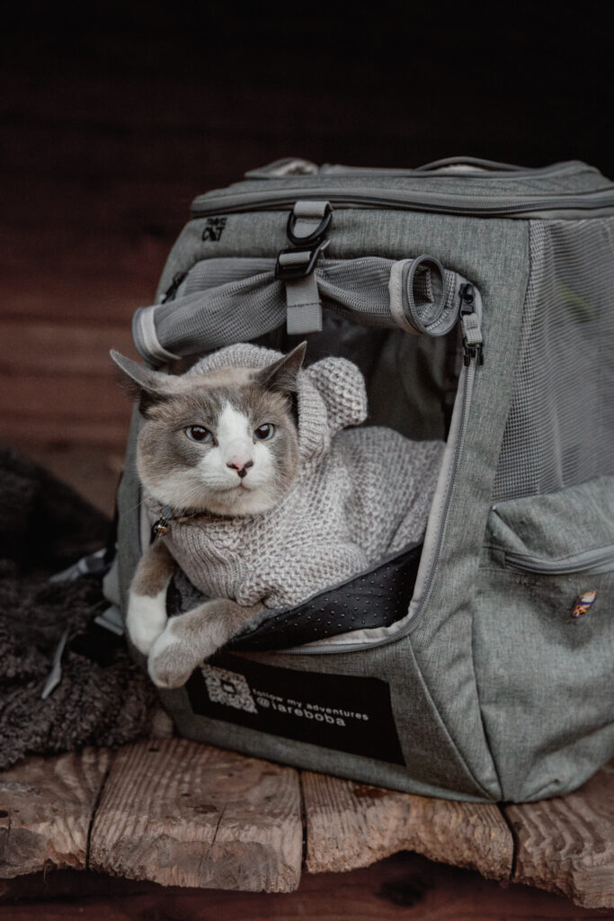 Cat in Your Cat Backpack Navigator Backpack.