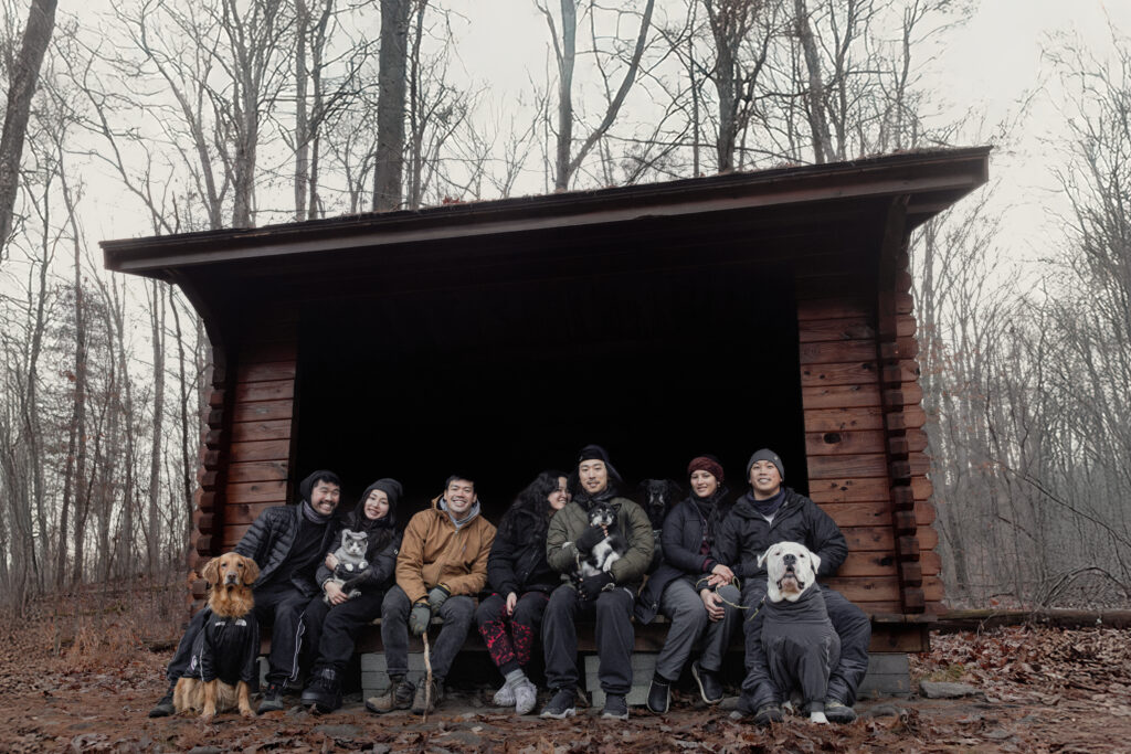 Group of friends posing with their pets camping.